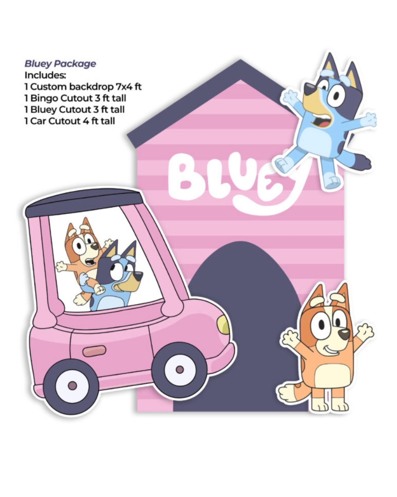 B!UEY PINK BACKDROP BUNDLE